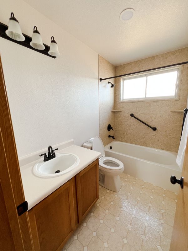 Vanity Renovation